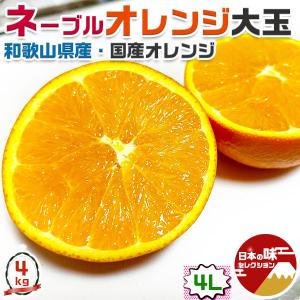 kurashino-mart_mmf-mikan-183