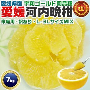 愛媛県産 愛果48号 ご家庭向 2kg M玉前後 迅速発送 送料無料
