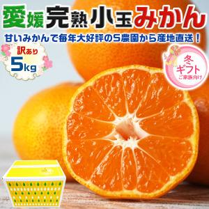 小玉 愛媛みかん 訳あり 5kg 小玉 2S〜S 出荷日お任せ 指定日不可 (愛媛県産 みかん 小玉 2S〜Sサイズ混合 家庭用) 家族向け ギフト広場
