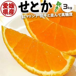 kurashino-mart_sbv-setoka-ss