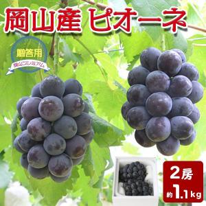 夏ギフト ピオーネ 2房 約1.1kg 特級 岡山県産 ぶどう 大粒 種なし 贈答用 化粧箱 百貨店品質 お中元 ギフト ギフト広場