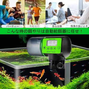 BlueFire 魚自動給餌器 自動餌やり機 ...の詳細画像1