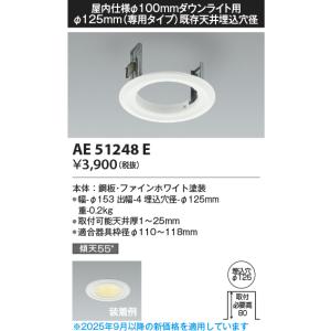 ODELIC（オーデリック） 安心のメーカー保証 UN4403RB ランプ類 LED