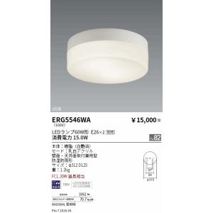 TOSHIBA（東芝） LEDEM13221LM LED非常用照明器具（専用）低天井用