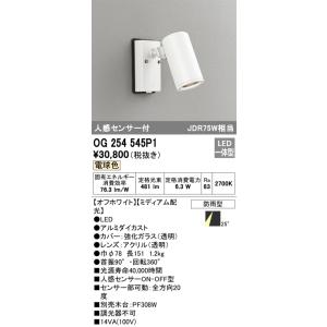 安心のメーカー保証 【インボイス対応店】オーデリック照明器具 屋外灯 スポットライト OG254545P1  LED  実績20年の老舗｜kurashinoshoumei