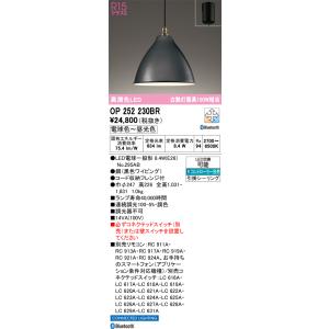 ODELIC（オーデリック） オーデリック照明器具 ペンダント OP273023BR
