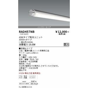 遠藤照明 安心のメーカー保証 【インボイス対応店】RAD458NC（ランプ