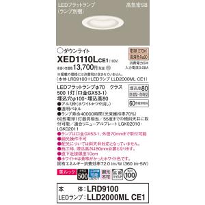 安心のメーカー保証 パナソニック ポーチライト 軒下用 XED1110LCE1 『LRD9100＋L...
