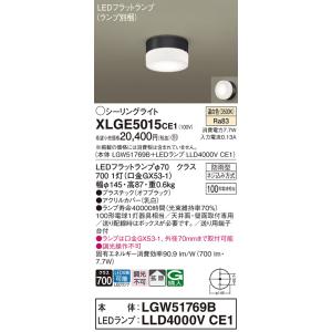Panasonic（パナソニック） 屋外灯 スポットライト XLGE1001CE1