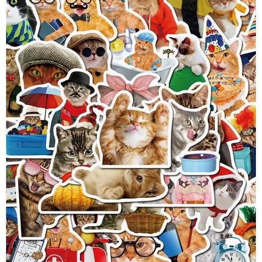 猫 面白 ステッカー10枚セット ノートパソコンや水筒に スマホ ランダム発送
