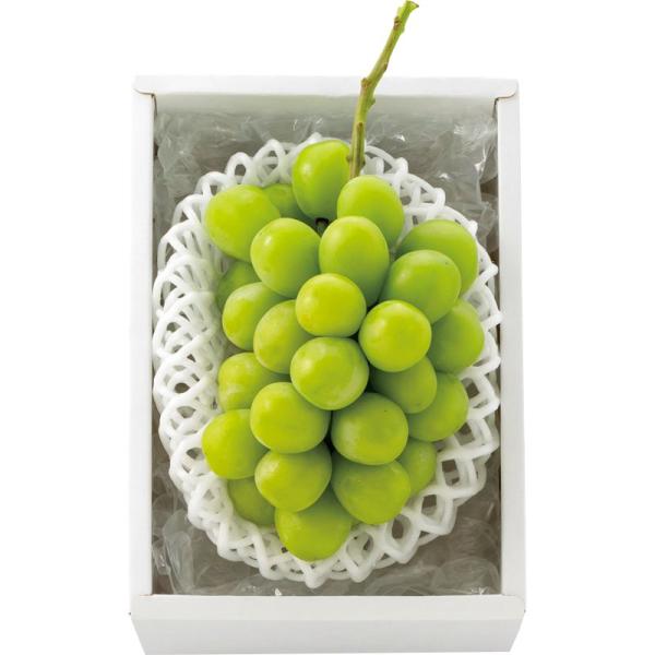 シャインマスカット 約350g×1房 2667071【直送品】［送料無料］（※発送は7月上旬〜）