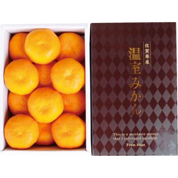 佐賀県産 ハウスみかん 約1kg【直送品】［送料無料］（※発送は7月上旬〜）