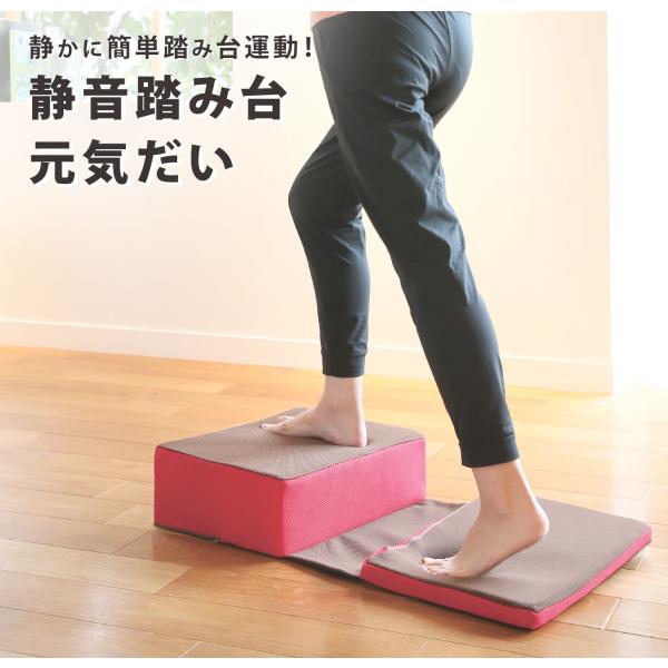 メーカー公式 静音踏み台 室内運動 家トレ エクササイズ 踏み台昇降 元気だい サイプラス