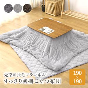 こたつ布団 長方形 薄手 蓄熱綿入り 190×290cm とろける肌触り
