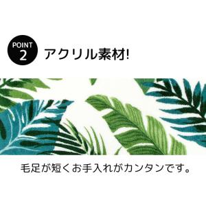 トイレ2点セット トイレマット + 兼用フタカ...の詳細画像3