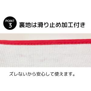 トイレ2点セット トイレマット + 兼用フタカ...の詳細画像4
