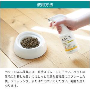 環境 ダイゼン きぇ〜る ペット用トリガースプ...の詳細画像3