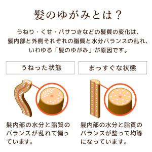 ディアボーテ プレミアムトリートメントオイル ...の詳細画像4