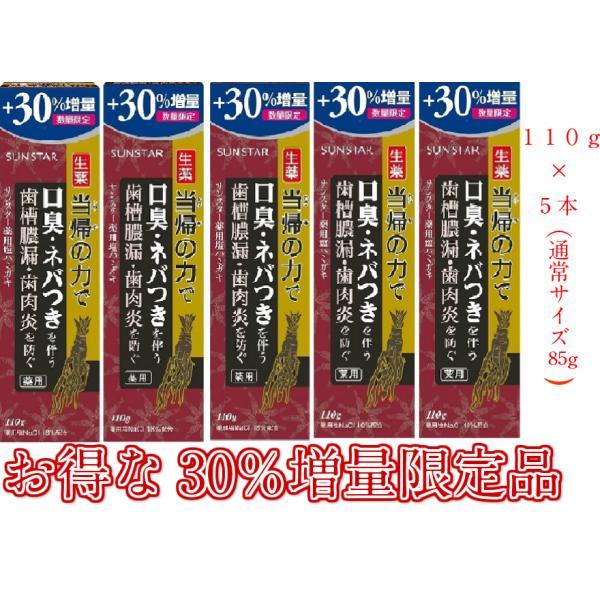 【30％増量】【５箱】サンスター SUNSTAR 薬用塩ハミガキ 生薬当帰の力 スパイシーミント  ...