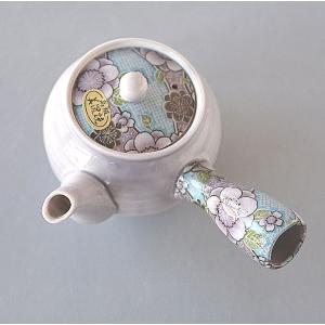 食器 急須 ティーポット おしゃれ 丹波焼 陶勝窯 Teapot : Riccio