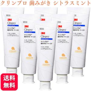 6本セット 3M クリンプロ 歯みがきペースト シトラスミント 90g フッ素濃度 950ppm 8253 スリーエム