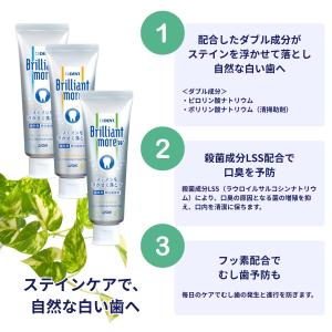 3本セット 3種類から選べる ライオン ブリリ...の詳細画像2