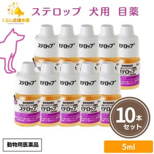 10個セット 千寿製薬 ステロップ 5ml 犬用...の商品画像