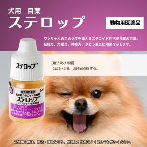 2個セット 千寿製薬 ステロップ 5ml 犬用...の詳細画像1