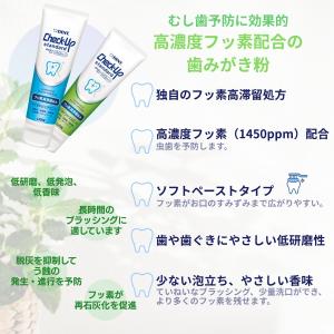 3個セット ライオン チェックアップ スタンダ...の詳細画像1