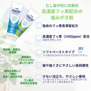 ライオン チェックアップ スタンダード 135...の詳細画像1