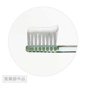 3個セット ライオン チェックアップ スタンダ...の詳細画像2