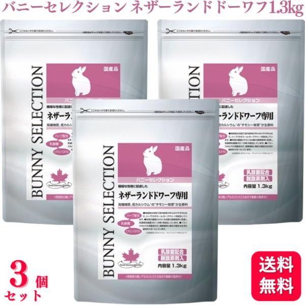 送料無料  3個セット  イースター バニーセレクション ネザーランドドワーフ専用 1.3kg ペッ...