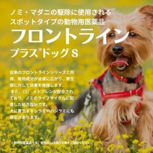 2個セット フロントライン プラス ドッグ S...の詳細画像1