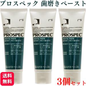 医薬部外品 ナノラル 薬用ホワイト＆プロテクト90g 歯磨剤 歯周病口臭