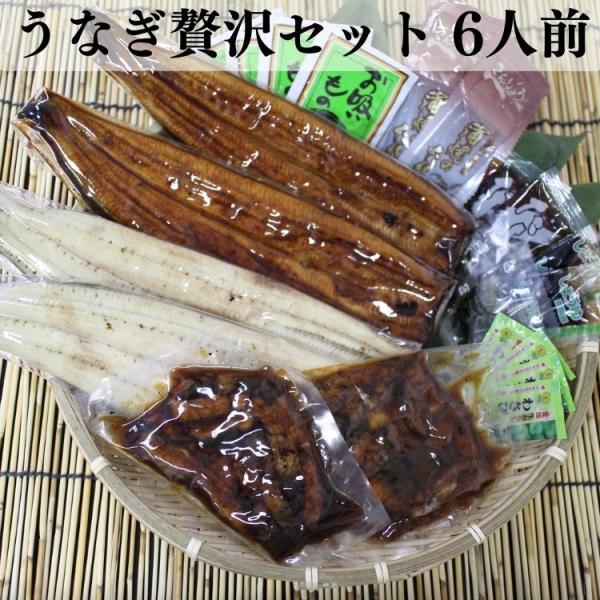 浜松 浜名湖 うなぎ贅沢セット 6人前 うなぎ蒲焼110g×2 うなぎ白焼110g×2 刻みうなぎ6...