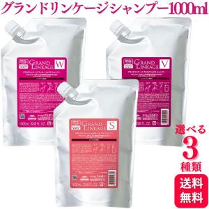 ストリ エクスチェンジプラスH2トリートメント 1000ml 詰め替え