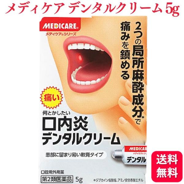 第2類医薬品 森下仁丹 メディケア デンタルクリーム 5g 口内炎