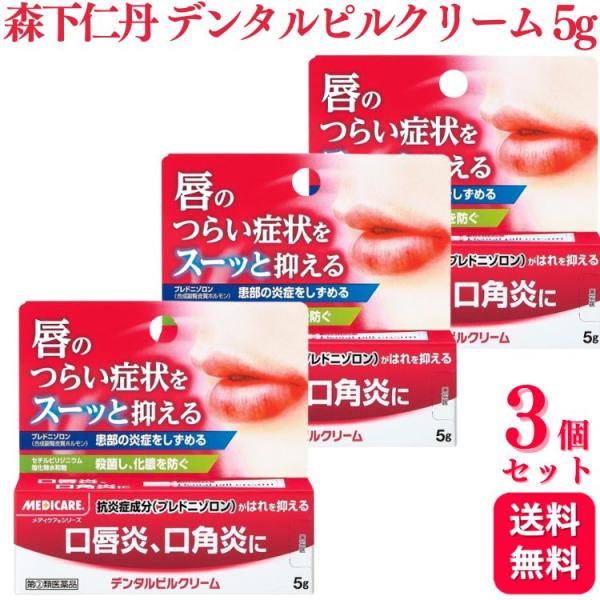 指定第2類医薬品 3個セット 森下仁丹 メディケア デンタルピルクリーム 5g 口唇炎 口角炎