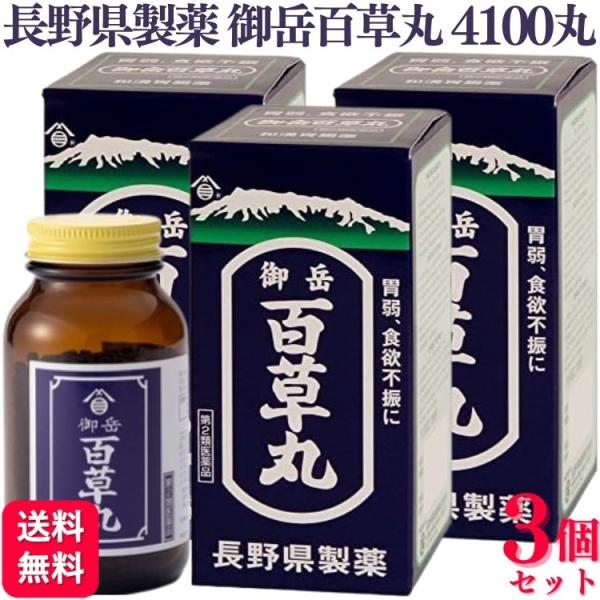 第2類医薬品 3個セット 長野県製薬 御岳百草丸 4100丸 胃腸薬