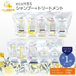 サラメンテ エテルノシャンプー 1000ml リフィル ボリュームシャンプー