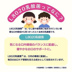 5個セット L8020 乳酸菌 ラクレッシュP...の詳細画像2