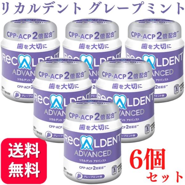 6個セット リカルデント ボトル ガム 140g グレープミント 歯科医院専用 送料無料