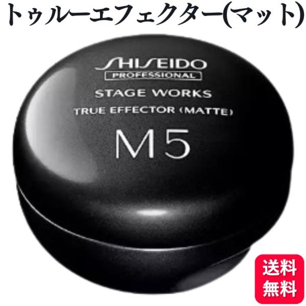 資生堂プロフェッショナル ステージワークス トゥルーエフェクター (マット) 80g 超ハード スタ...