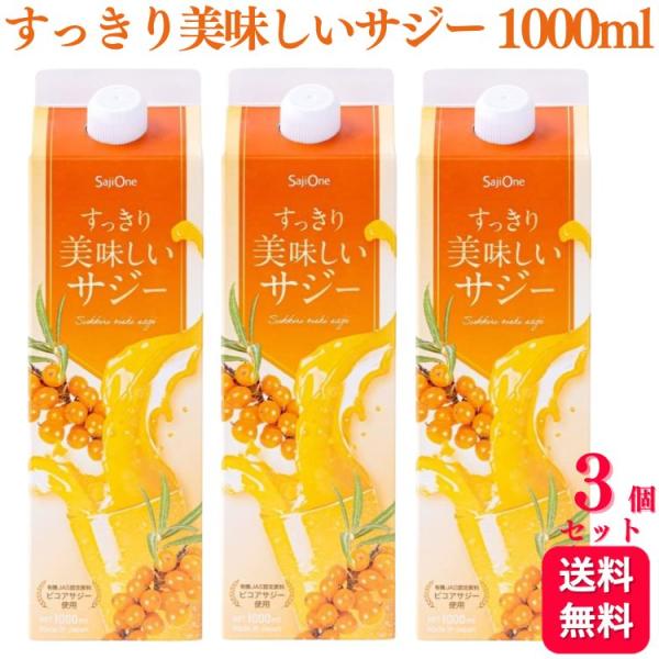 3本セット  SajiOne すっきり美味しいサジー 1000ml サジー 鉄分補給 アミノ酸 リン...