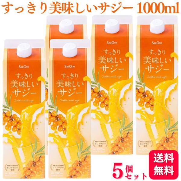 5本セット  SajiOne すっきり美味しいサジー 1000ml サジー 鉄分補給 アミノ酸 リン...