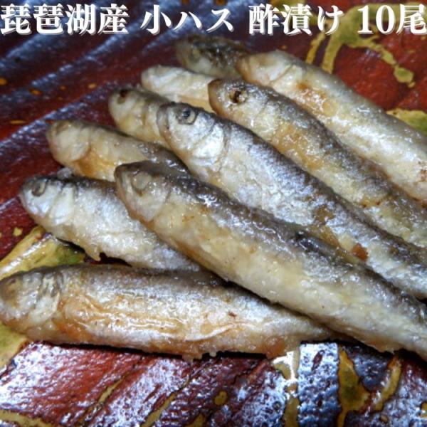 魚常商店 小ハス 酢漬け 10尾 琵琶湖産 送料無料