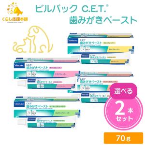 2個セット 4種類から選べる ビルバック C.E.T. 歯みがきペースト 70g チキン シーフード モルト バニラミント ペット用歯磨き粉｜くらし応援本舗(くらしドラッグ)Yahoo!店