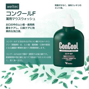 2本セット ウエルテック コンクールF 100...の詳細画像1