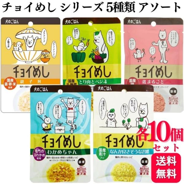 5種セット わんわん ドッグフード 各10個 チョイめし 80g 5種類アソートセット 鳥まるごと ...