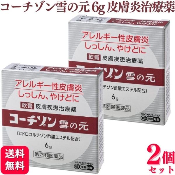 指定第2類医薬品 2個セット 雪の元本店 コーチゾン雪の元 6g 皮膚炎 皮膚薬